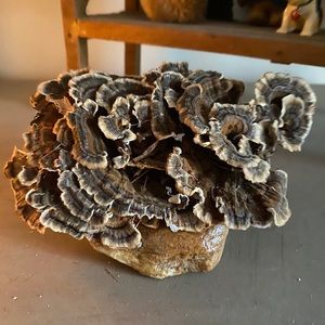 Artist made mushroom table/shelf figure.